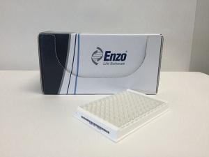 VEGF-C (Human) ELISA Kit