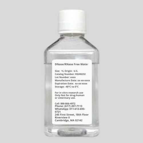DNase/RNase Free Water 1 L