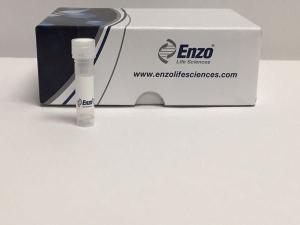 Anti-APMAP Mouse Monoclonal Antibody