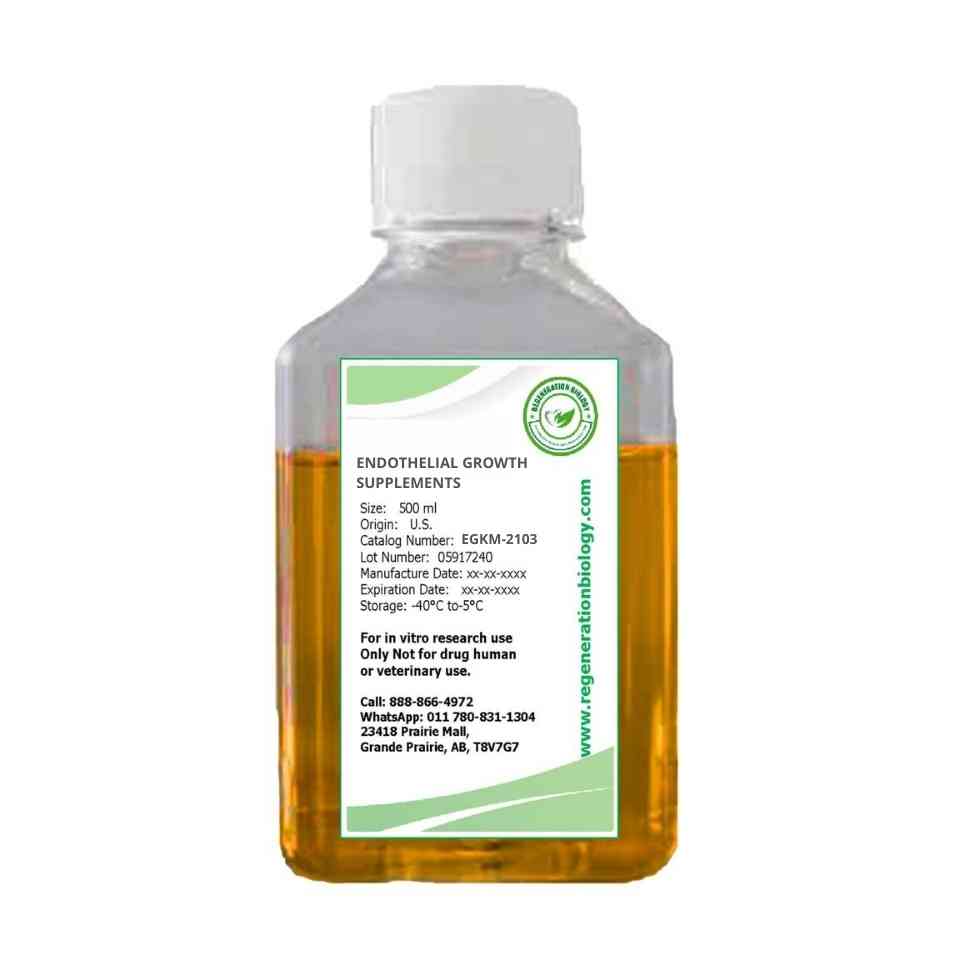 Endothelial Growth Media Kit